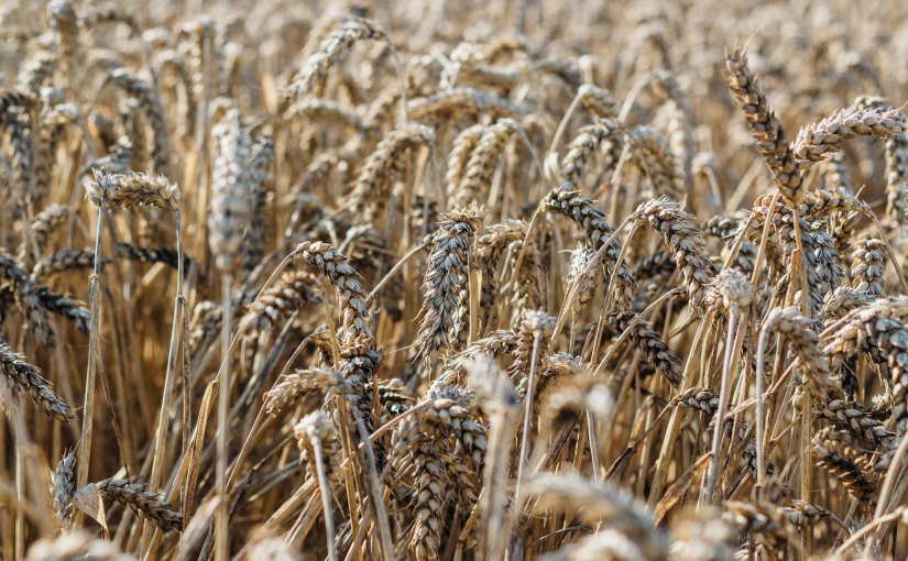 The North doesn’t want your charity, Mrs&nbsp;May